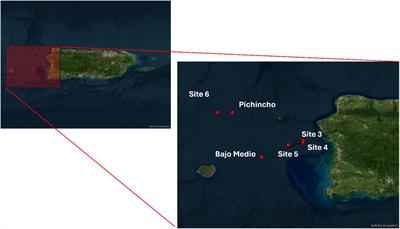 Prey diversity in the deep ocean: metabarcoding feeding ecology of the commercially important queen snapper in the US Caribbean